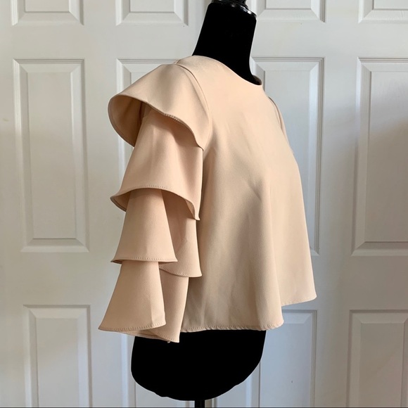 Lucky Leaves Blush Pink Tiered Sleeve Skimmer Top - Picture 2 of 5